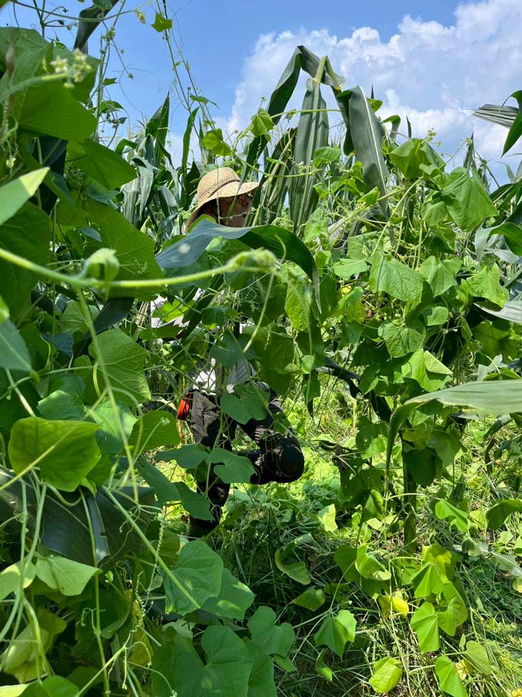 2025年8月 那須農場支援活動