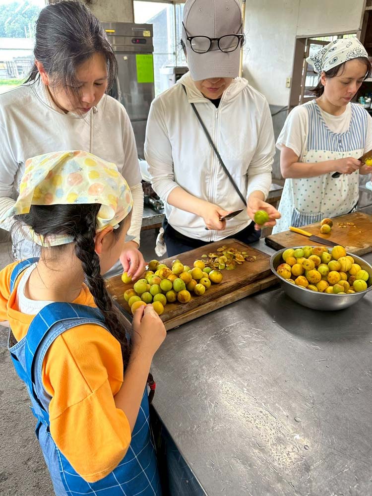 2025年6月 那須農場支援活動