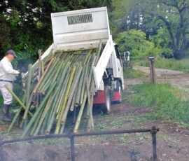 焼却場での荷下ろし
